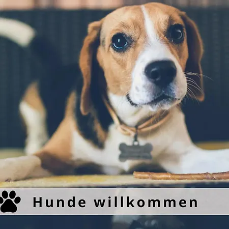 Graefin Anna - Design-apartment In Der Historischen Hinterburg - Nahe Fulda Und Bad Hersfeld *