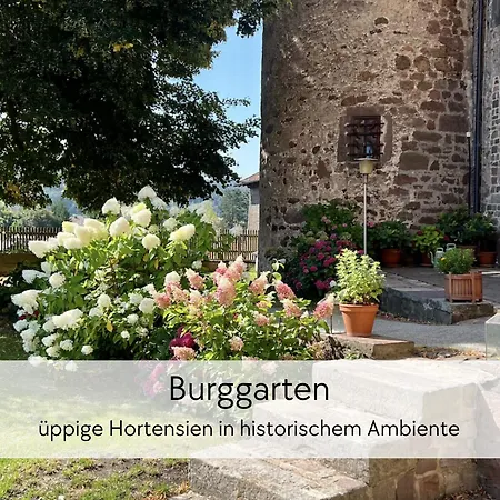 شقة Graefin Anna - Rueckzugsort Fuer Freundetreffen In Der Historischen Hinterburg - 2 Schlafzimmer, Altstadtlage, Garten, Aufzug, Hund Willkommen *