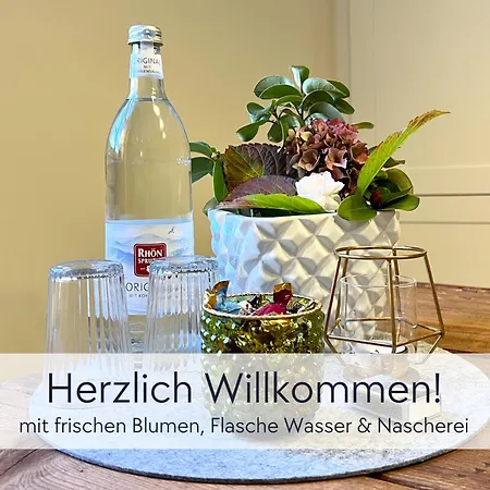 Graefin Anna - Rueckzugsort Fuer Freundetreffen In Der Historischen Hinterburg - 2 Schlafzimmer, Altstadtlage, Garten, Aufzug, Hund Willkommen Apartment *