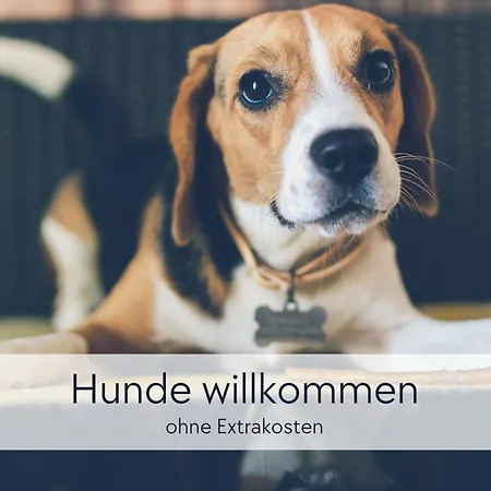 Graefin Anna - Rueckzugsort Fuer Freundetreffen In Der Historischen Hinterburg - 2 Schlafzimmer, Altstadtlage, Garten, Aufzug, Hund Willkommen Apartment *