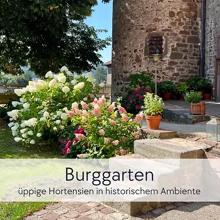Graefin Anna - Rueckzugsort Fuer Freundetreffen In Der Historischen Hinterburg - 2 Schlafzimmer, Altstadtlage, Garten, Aufzug, Hund Willkommen Appartement
