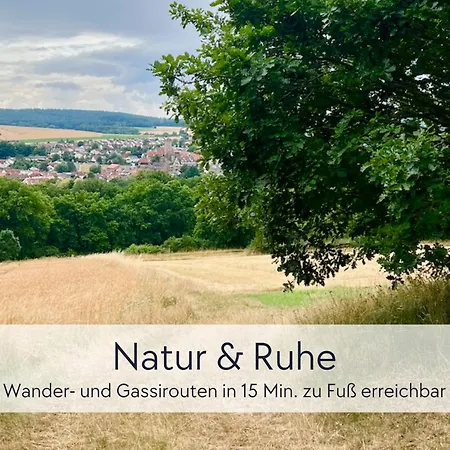Appartement Graefin Anna - Rueckzugsort Fuer Freundetreffen In Der Historischen Hinterburg - 2 Schlafzimmer, Altstadtlage, Garten, Aufzug, Hund Willkommen Schlitz