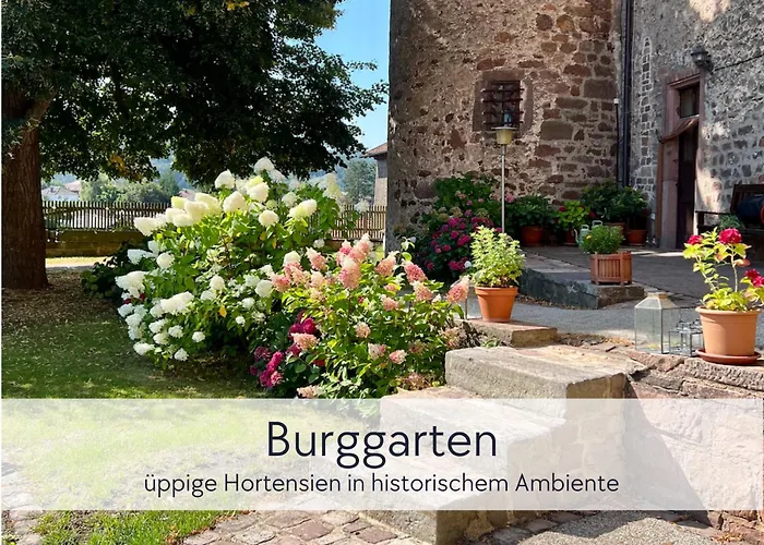 Graefin Anna - Rueckzugsort Fuer Freundetreffen In Der Historischen Hinterburg - 2 Schlafzimmer, Altstadtlage, Garten, Aufzug, Hund Willkommen Appartement