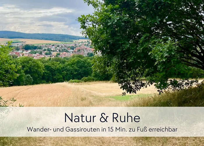 Apartman Graefin Anna - Rueckzugsort Fuer Freundetreffen In Der Historischen Hinterburg - 2 Schlafzimmer, Altstadtlage, Garten, Aufzug, Hund Willkommen Schlitz